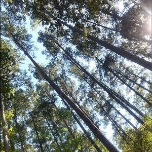 Meet your Posher, Gary